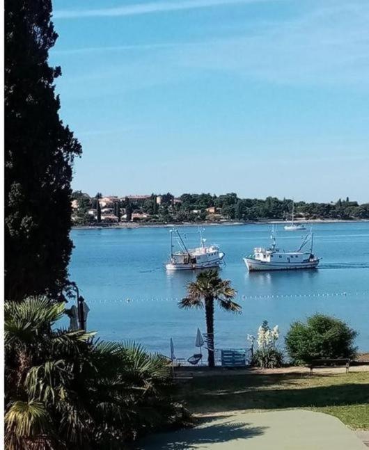 Angelina, 70m From The Beach, Free Parking Novigrad Istria